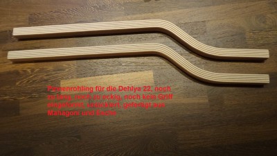 Dehlya Pinne roh 1.jpg