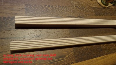 Dehlya Pinne roh 2.jpg