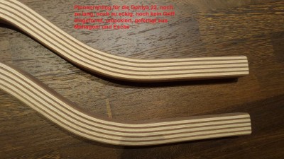 Dehlya Pinne roh 3.jpg