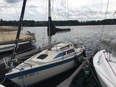 Dehlya Juni 2017.jpg