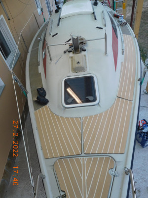 Dehlya von oben im Carport.jpg